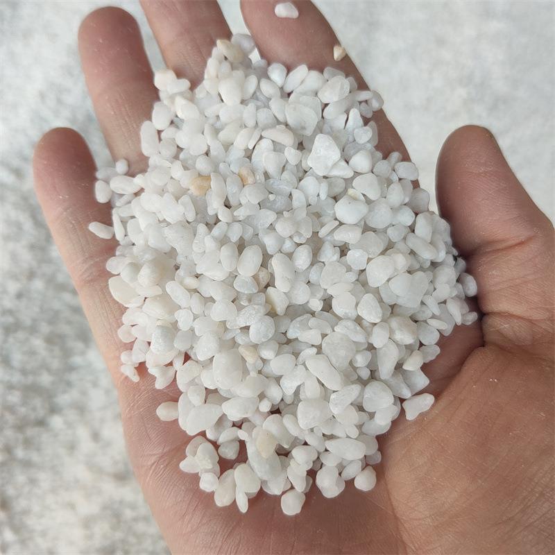 现货白色卵石 园艺铺面庭院装饰用白色小石子