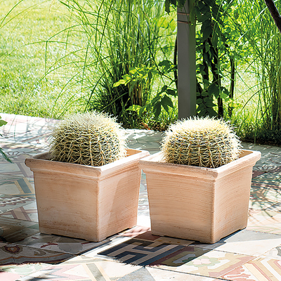 海蒂的花园 帝罗马陶盆橄榄枝锡C耶纳古典浮雕白陶盆长条盆红陶盆