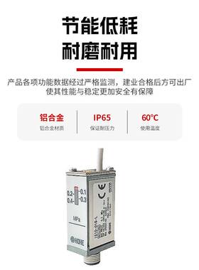 压力开关舌簧IS10系列-01S/01S-L/01S-Z可调微压舌簧压缩机空压机