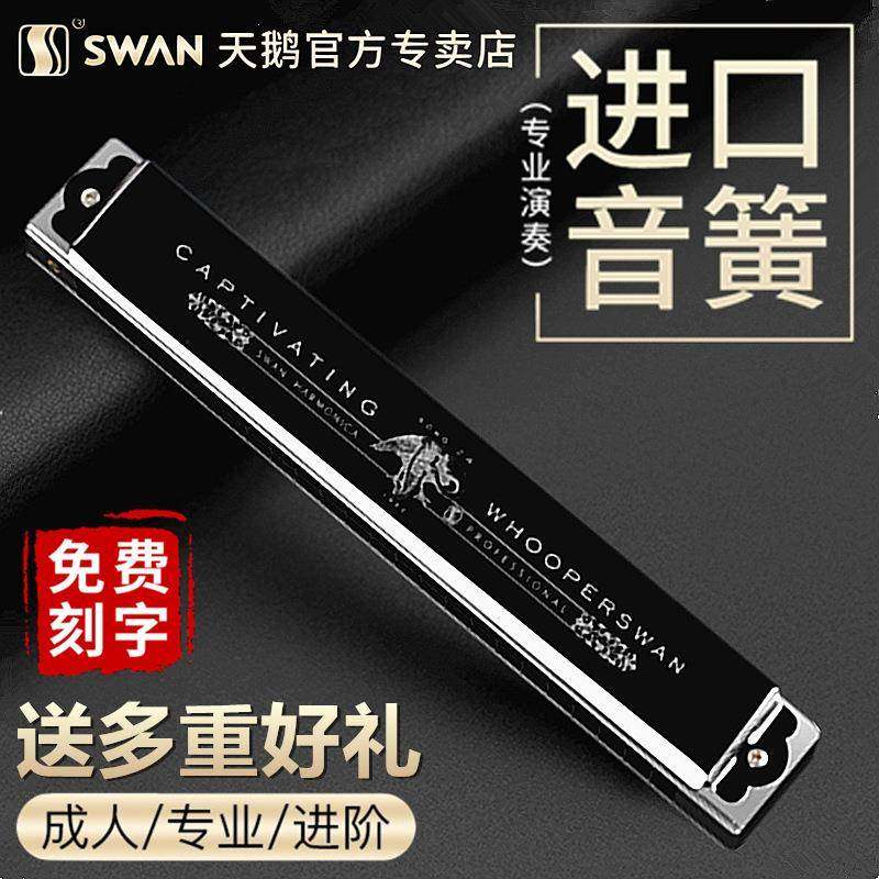 德国进口音簧24孔复音C调口琴高端成人专业演奏级初学者学生入门