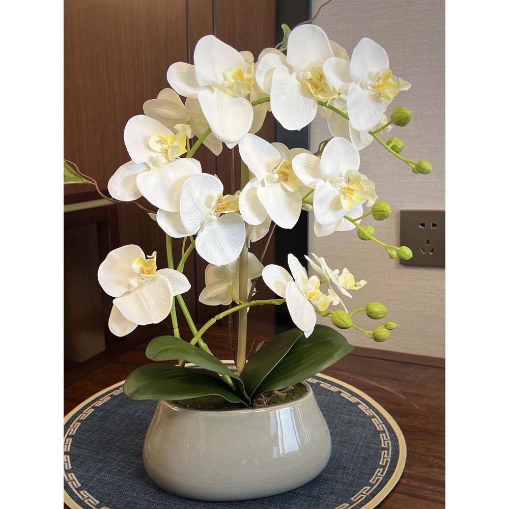 花蝴蝶兰套装手感假花盆栽客厅餐桌摆放绢花中式陶瓷花卉摆件