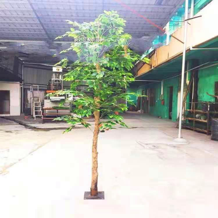 实木仿真香樟树假榕树假樟树假植物装饰活动演出布景假树