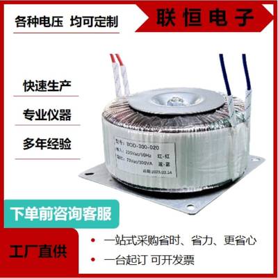 环型变压器300W220V110V36V24V12V环牛纯铜变压器