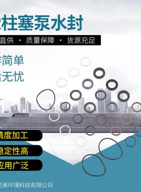 高压柱塞泵意大利AR泵配件RTP水封42159密封圈