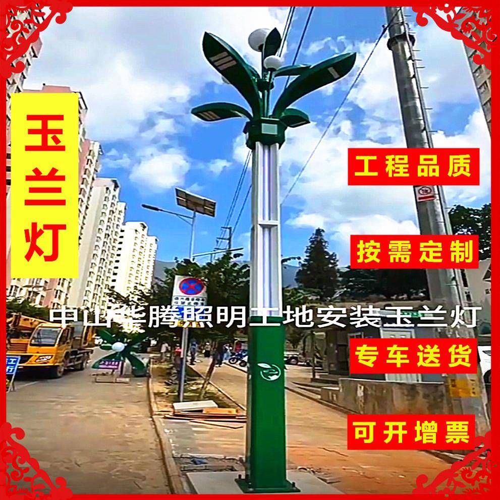 新款led路灯12米400W中华灯球罩玉兰灯不锈钢灯杆广场景观路灯