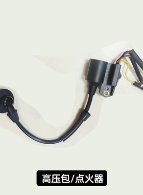 汽油机配件系列大全九永高压包磁电机148F变频发电机 24V便携小型