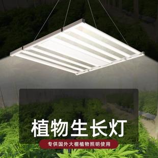 植物生长灯全光谱红蓝植物灯蔬菜叶菜花卉绿植育苗多肉植物补光灯