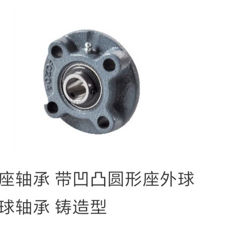 BDW-204-205-206-207-208-210带座轴承 铸造型