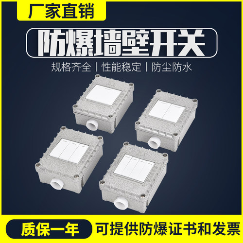 防爆墙壁开关SW-10照明开关控制灯明装暗装墙壁插座单开双开三开