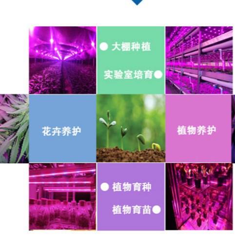 5W圆长形全光谱大棚育苗补光灯LED植物0灯生E灯LD植JJI物补光超亮