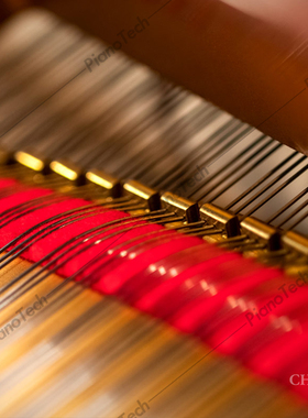 德国原装进口特种铜钢琴agraffe 定弦钮 一孔 二孔 三孔 可定制