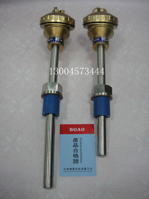 WZP2-230双支铂热电阻温度计测温探头,PT100型双支热电阻探头