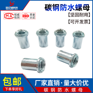 封闭螺母 密封紧固件 碳钢镀锌防水螺母柱B