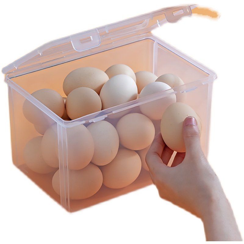 鸡蛋收纳盒放入冰箱里的鸡蛋盒透明塑料保鲜盒挂面面条收纳大容量,搬运/仓储/物流设备,其他起重搬运设备,淘宝优惠券,粉丝福利购,淘宝优惠卷