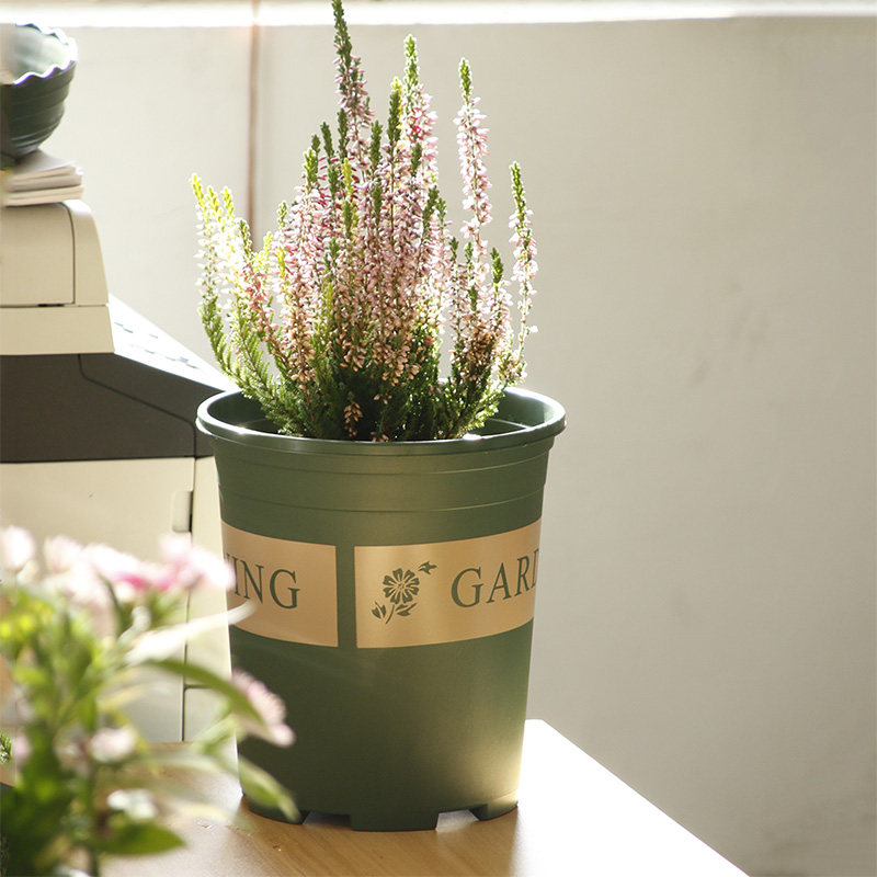 新疆包邮塑料矮胖花盆绿萝月季花多肉5件套加厚大小加仑盆带托盘,工业油品/胶粘/化学/实验室用品,烧杯/烧瓶,淘宝优惠券,粉丝福利购,淘宝优惠卷