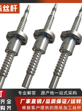 SFV SFNI SFS0 8010 6310 5010 4010 4005 3210滚珠丝杆丝杠螺杆