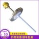 l=450 300mm 烧结四氟 法兰DN50 WZP PTFE 430F防腐热电阻Pt100