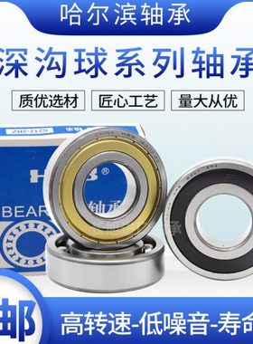 哈轴HRB哈尔滨轴承6312 6313 6314 6315 6316 6317Z RZ 2Z ZZ 2RS