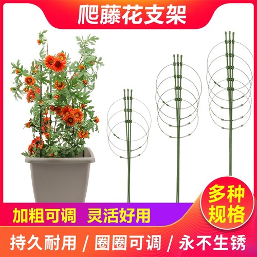 爬藤架花架花盆支架园艺植物攀爬架铁艺制室内阳台月季蔷薇铁线莲