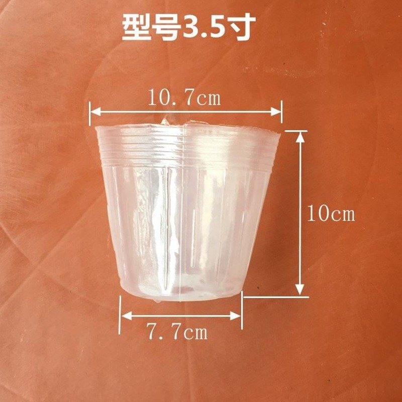 蝴蝶兰营养钵 兰花营养杯 铁皮石斛专用花盆育苗盆袋加厚白色透明
