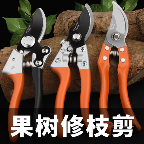 剪枝剪刀修果树修枝专用园艺剪子树枝修剪工具花剪园林神器花艺剪