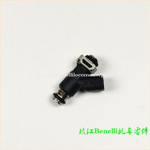 适用黄龙BJ600GS/-A/-3/BN600/蓝宝龙BJ300GS/BN302喷油器喷油嘴