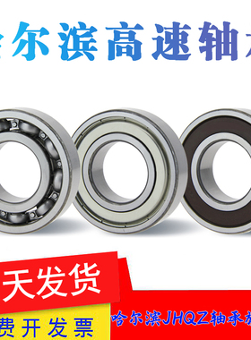 哈尔滨轴承6300 6301 6302 6303 6304 6305 6306 6307 63082RZ RS