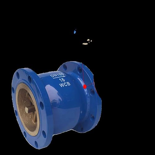 HC41X-16法兰消音止回阀消音立卧式止逆阀DN40 50 65 80 100 150