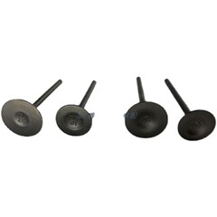 宗申赛科龙RX1 RX1S气门ZY150-51水冷型 ZY200-51原厂气门油封