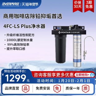 【品牌直营】爱惠浦商用4FC-LSPlus大流量除铅抑垢净水器餐饮滤芯