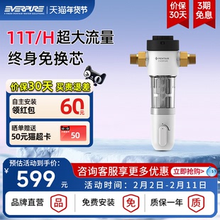 【品牌直营】爱惠浦品牌直营前置过滤器40微米全铜防爆11T大流量