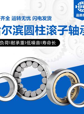 HRB哈尔滨圆柱滚子轴承 NU NJ 405 406 407 408 409 410 411 EM