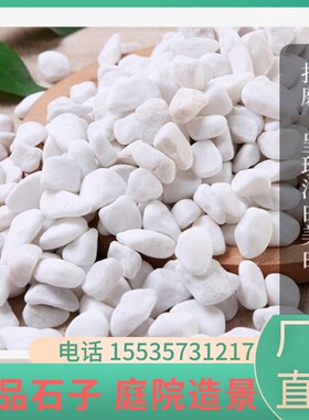 海南白石b子景观石头大小庭院铺路铺地阳台装饰花园白色石子