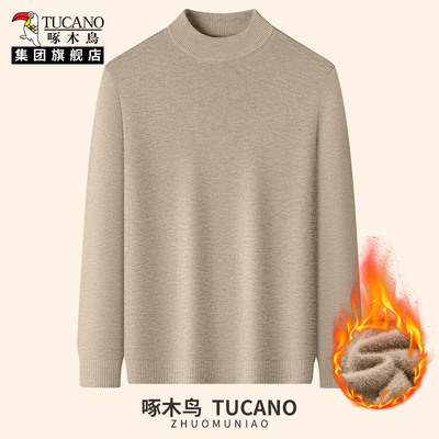 啄木鸟男士毛衣半高领针织打底衫