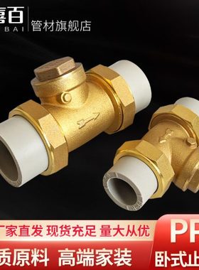 热熔灰色PPR止回阀4分6分2寸铜体单向阀逆流阀32405063焊接阀烫接