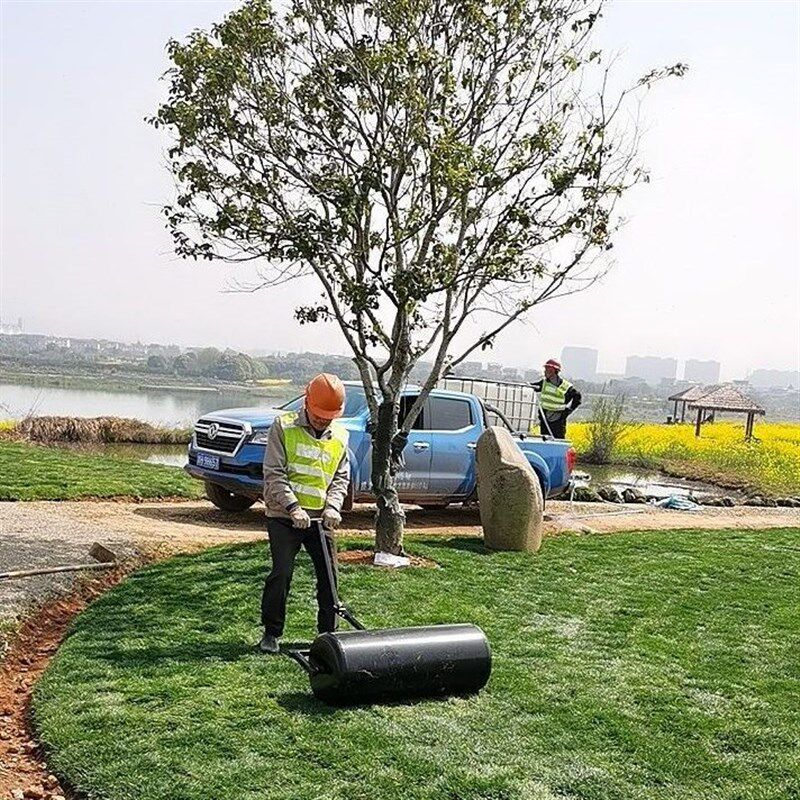 手推式草坪机草地滚筒草皮夯实压地滚g筒机草坪滚压机花园铺草绿