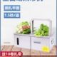 全自动opp小型束带机超市蔬菜捆扎机带热熔打打包机捆扎束绑商用