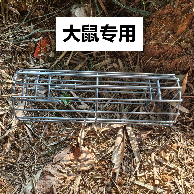 新款捕鼠a笼老鼠笼地鼠笼加大加粗圆形铁双门全自动有进无出捕鼠