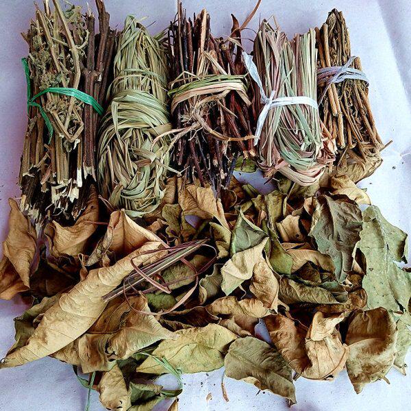 去晦气沐浴桃枝柳枝香茅草柚子叶出院入宅新屋入伙搬家清明节用品