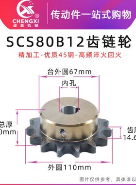 SCS高品质成型孔链轮8分 80B12齿 16A12T外径110精车内孔键槽顶丝