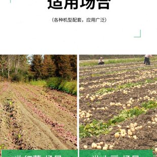 微耕四轮手扶拖拉机配件土豆红薯地瓜马铃薯自动收获犁机器农用