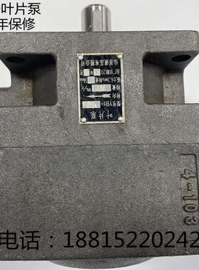 全新M7130H平面磨床油泵 平面磨床叶片泵YB1-100杭机桂北川磨配件