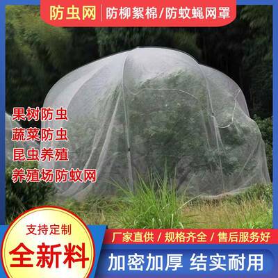 大棚防虫网加密加厚瓜果蔬菜防蚊网蚂蚱网防柳絮防果蝇网纱网