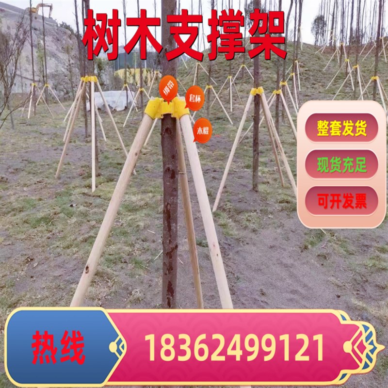树木支伸缩杆防风 大树支撑 稳定树木I支架园林绿化松木棍杨木棍