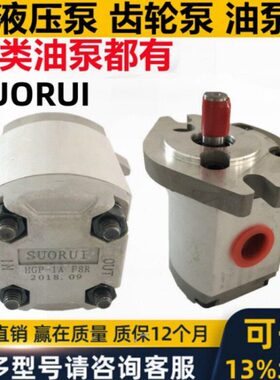 SUORUI齿轮泵HGP- 1A 2A 3A-F 4 5 6 8 12 9 R L RX 2B反转4孔 SR