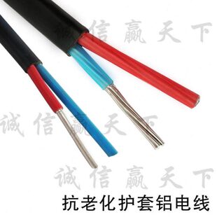 国标电线铝线双芯2x2.5/4/6平方二芯单股铝芯白色护套线 足100米