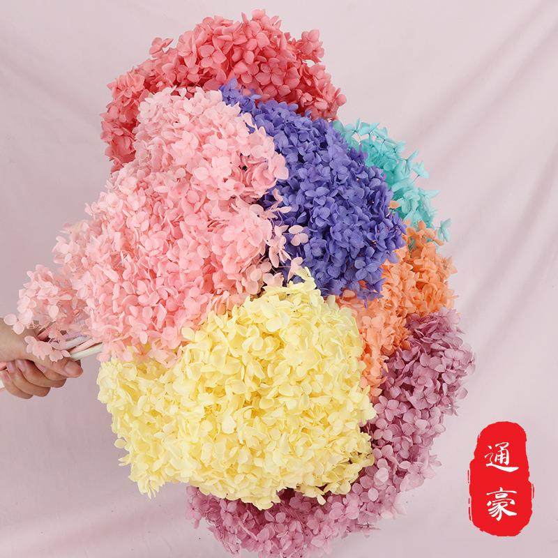 云南永生花单支安娜绣球 干花花束花材diy保鲜花婚庆拍摄道具,家居饰品,餐桌花艺,淘宝优惠券,粉丝福利购,淘宝优惠卷