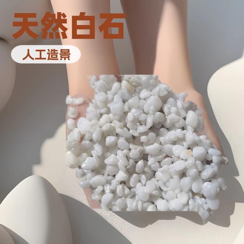 雪花白鹅卵石庭院汉白玉造景白色水洗石铺面雨花石机制白石子