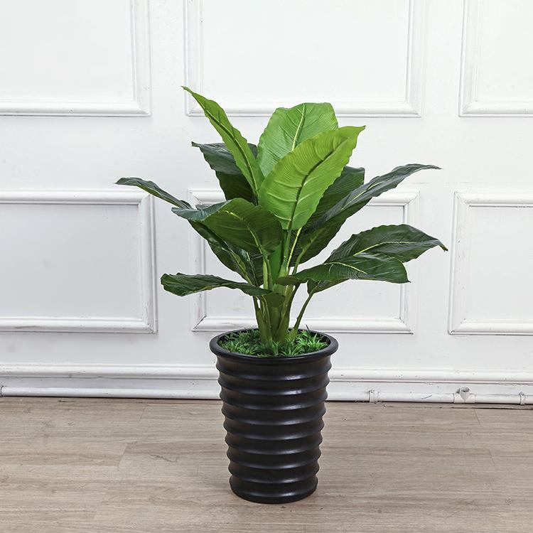 室内仿真植物大叶绿钻万年盆景布景配绿植装饰盆栽客厅落地塑料花