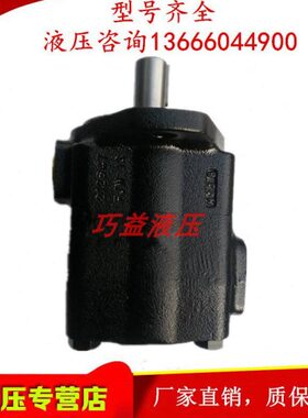 德国叶片泵 PVV2/1-1X/027/055/60/040/036/045-RA15L/U/DMB 油泵